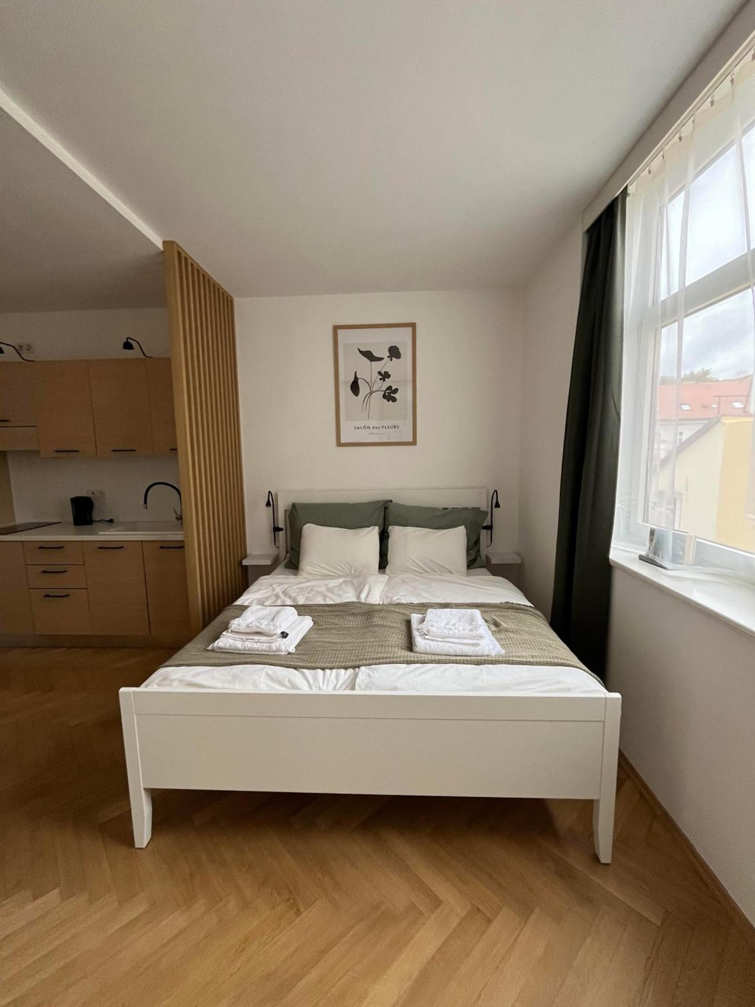 Lejlighed Brand New Studio In The Center Prag