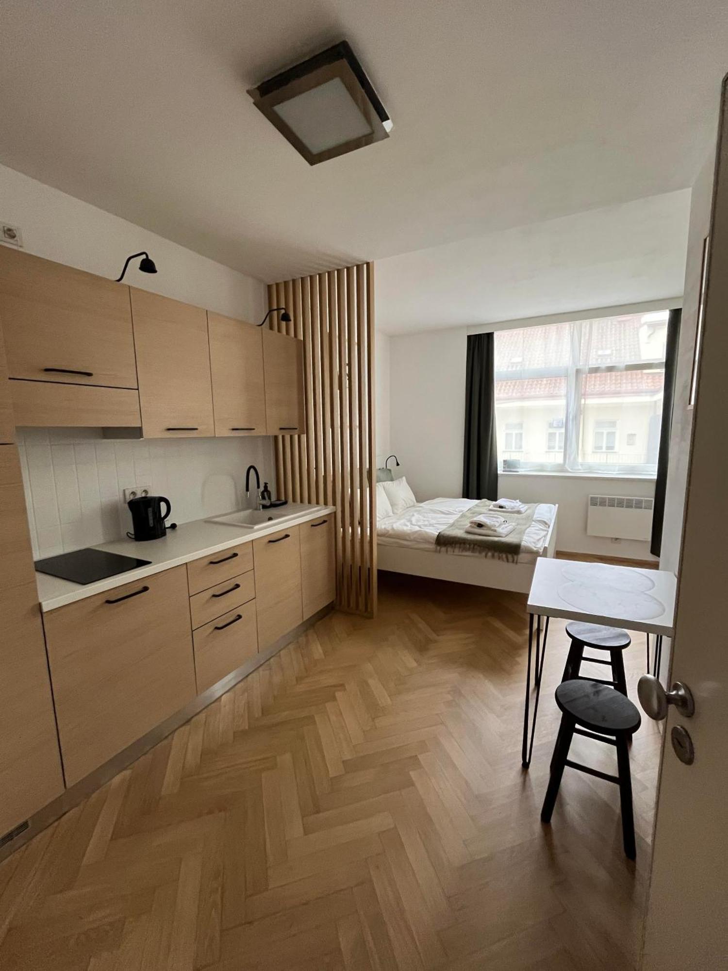 Brand New Studio In The Center Lejlighed